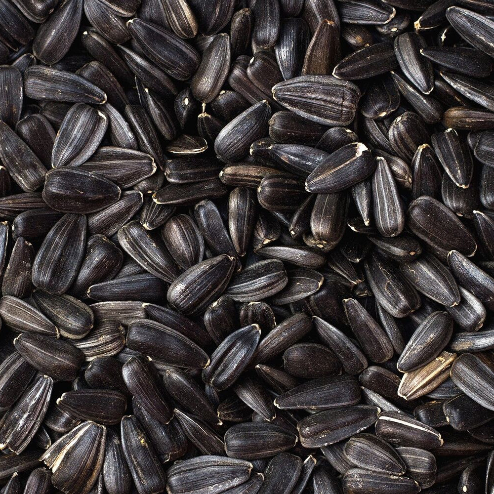 Sunflower Seeds Unsalted Roasted/Raw